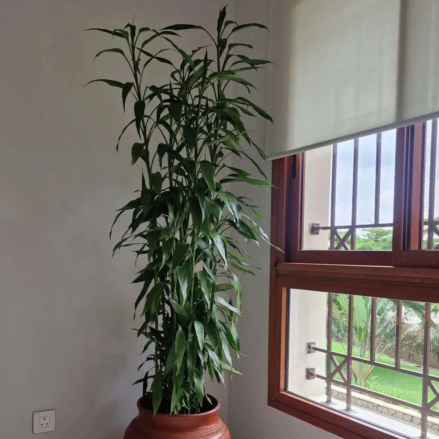 Plantbos team assisting a customer with purchase